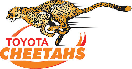 Toyota Cheetahs Rugby logo